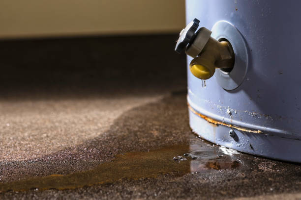 Best Residential water damage restoration  in Weyauwega, WI