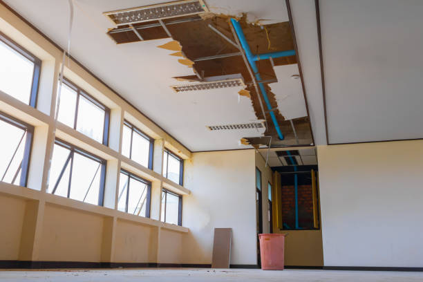 Best Local water damage restoration  in Weyauwega, WI