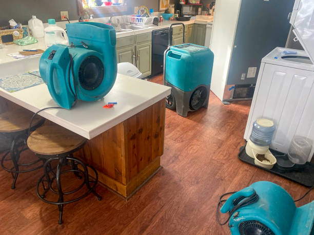 Best Flooded house restoration  in Weyauwega, WI