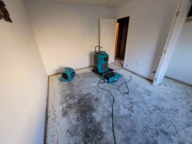 Best Fire Damage Restoration  in Weyauwega, WI