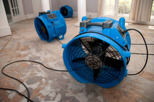 Best Professional water damage repair  in Weyauwega, WI