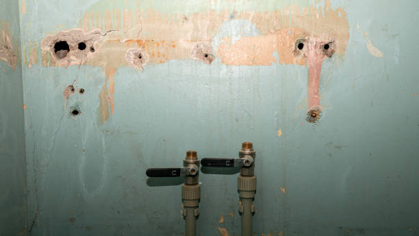 Best Basement water damage restoration  in Weyauwega, WI