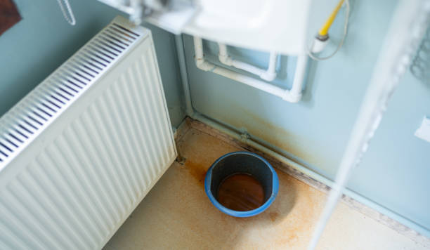 Best Flood restoration services  in Weyauwega, WI
