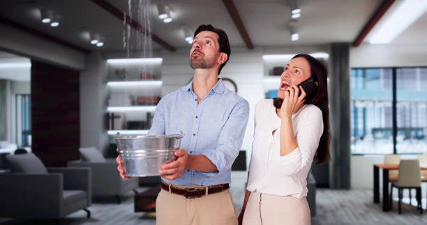 Best Water damage contractors near me  in Weyauwega, WI