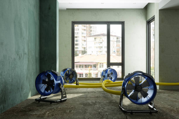 Best 24/7 water damage repair  in Weyauwega, WI