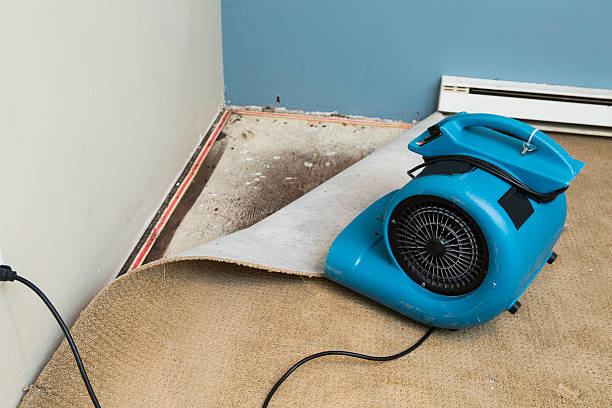 Best Carpet water damage restoration  in Weyauwega, WI